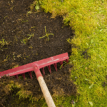 how to get rid of moss. Don't let lawn moss take over your yard!