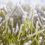 Massachusetts lawn in winter time