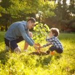 Spring is the best time to plant a tree here in Massachusetts, allowing you to plant a tree that will live and thrive for generations to come.