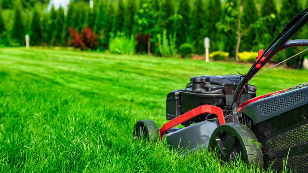 Lawn Care Calendar