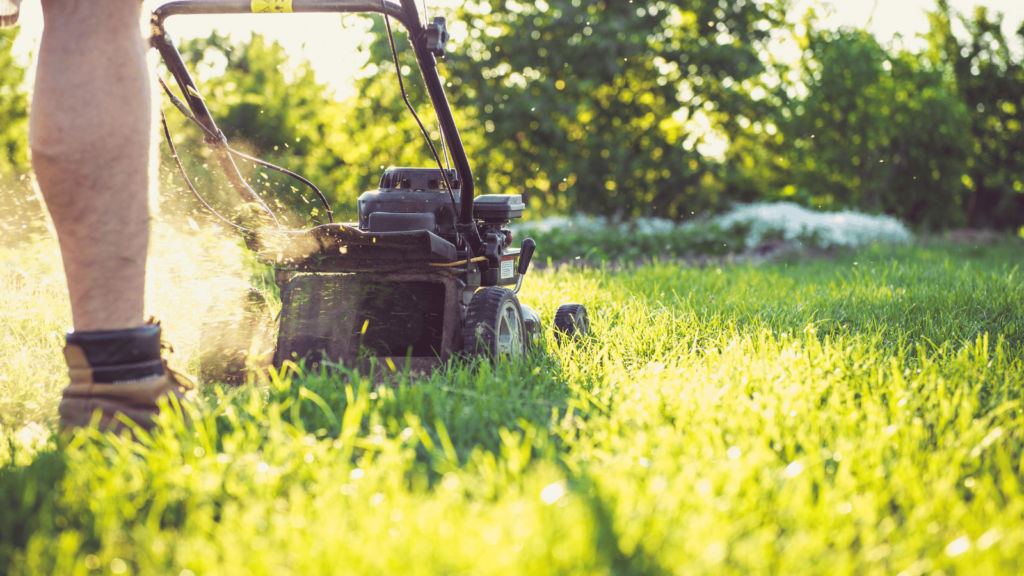 Lawn Care Calendar NH